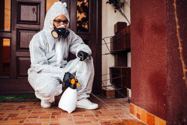 Reliable Ant Control contractor in Lake Barcroft, VA by Nex Pest Control